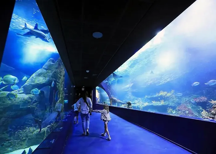 Baia - Studio Vue Imprenable Sur La Mer * Biarritz